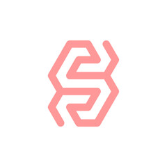 letter GS hexagon logo concept isolated on wite background.