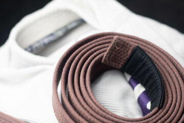 Brown belt martial arts kimono Gi copy space image