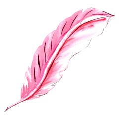 Watercolor illustration of pink feather.