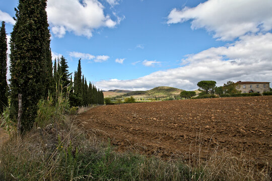 Landscape around Cas Conforto