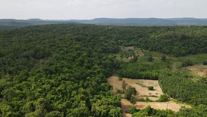 view from the top of the hill