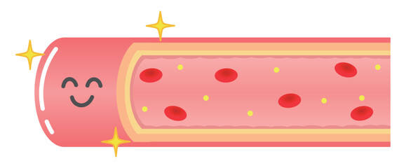 笑顔の健康な血管のイラスト（横）