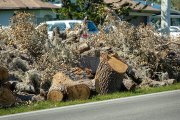 Piles of tree rubbish on road side for recovery truck pickup after hurricane in Florida residential area. Consequences of natural disaster