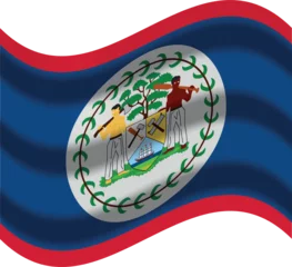 Draagtas belize flag with wind icon © noche