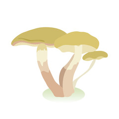 illustration of a mushroom
