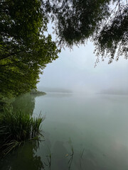 Mystical morning at the fog-kissed lake, where nature's beauty emerges through the ethereal mist.