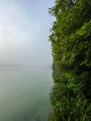 Mystical morning at the fog-kissed lake, where nature's beauty emerges through the ethereal mist.