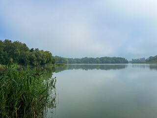 Mystical morning at the fog-kissed lake, where nature's beauty emerges through the ethereal mist.