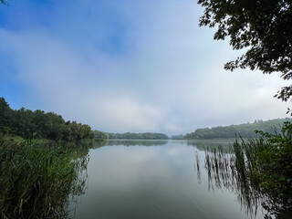 Mystical morning at the fog-kissed lake, where nature's beauty emerges through the ethereal mist.