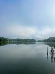 Mystical morning at the fog-kissed lake, where nature's beauty emerges through the ethereal mist.