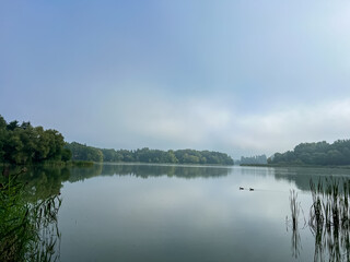 Mystical morning at the fog-kissed lake, where nature's beauty emerges through the ethereal mist.
