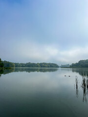 Mystical morning at the fog-kissed lake, where nature's beauty emerges through the ethereal mist.