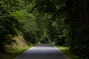 Obraz premium Scenic road in the middle of the forest