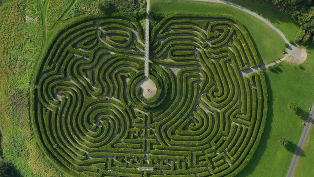 Maze in Castlewellan Park, Co Down