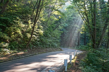 光芒の美しい山の道路