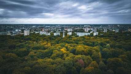 See Tiergarten Park Erholung Bootfahren Natur Picknick Tierwelt Ruhig Gartenanlage Grünanlagen...