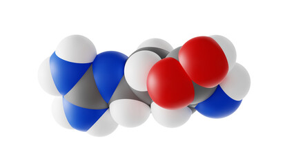 arginine molecule, amino acid molecular structure, isolated 3d model van der Waals