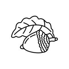 hand drawn doodle Acorn line art illustration isolated on white background