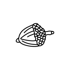 hand drawn doodle Acorn line art illustration isolated on white background