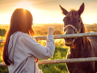 Young teenager girl feeds dark horses by a metal fence at warm glowing sunset. Light and airy mood. Selective focus. Connection between people and horses. Rural scene.