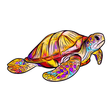 Sea Turtle picture, It's an animal illustration used in common applications.