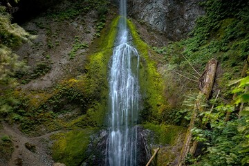 Small waterfall in green lush jungle. Nature background. Landscape with small waterfall. Lush green environmnent