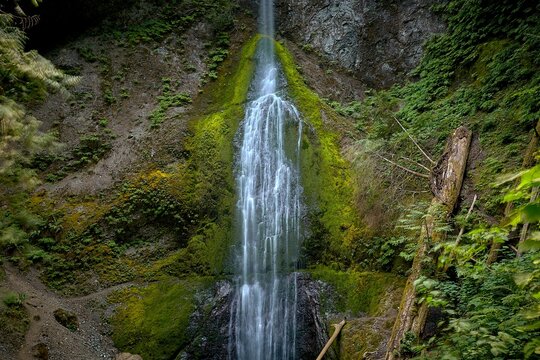Small waterfall in green lush jungle. Nature background. Landscape with small waterfall. Lush green environmnent