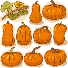Pumpkin cartoon hand drawn vector set