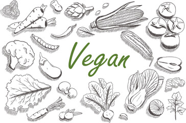 Vegan hand drawn vector illustration