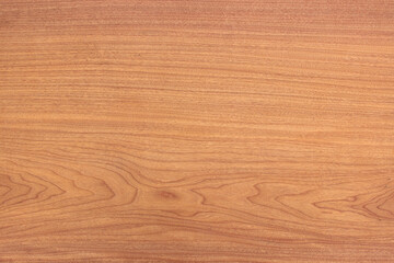 Obraz premium teak texture with natural pattern for background