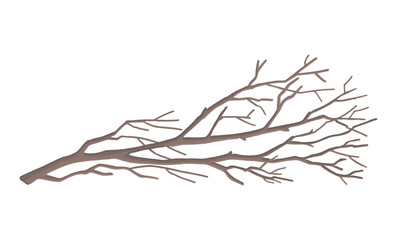 Fototapeta premium Cartoon clipart of bare branch. Doodle of tree without leaves. Contemporary vector illustration isolated on white background.