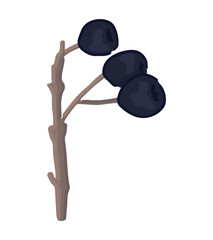 Cartoon clipart of twig with berry. Doodle of autumn harvest. Contemporary vector illustration isolated on white background.