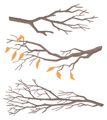 Set of bare branches. Doodles of leafless tree twigs. Cartoon vector illustrations collection isolated on white background.