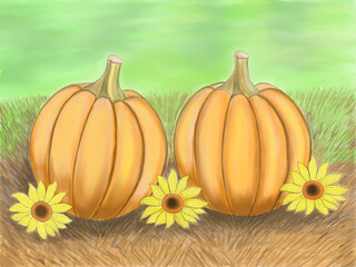 pumpkin and sunflowers illustration