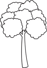 Tree Outline