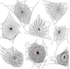 hand drawn cobweb collection