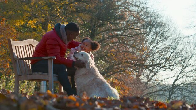 Medium shot of girl with father sitting on outdoor bench stroking pet golden retriever dog on walk in autumn countryside - shot in slow motion