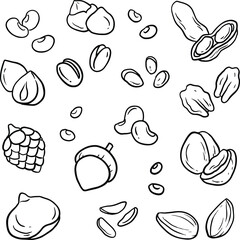 Sketch mix of different nuts and dried fruits. Hand drawn illustration of nuts, cashews, peanuts, hazelnut, raisins, almond, banana isolated on white, black line vector - obrazy, fototapety, plakaty