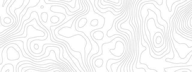 Abstract topographic wavy curve line background. Topography map pattern, Geographic curved relief. Topographic lines background. Vector illustration.	