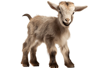 The Joyful Baby Goat isolated on a transparent background, Generative Ai - Powered by Adobe
