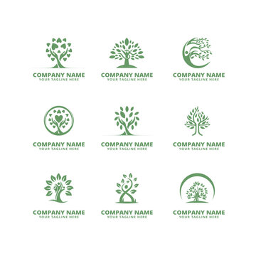 set of tree logo vector illustration