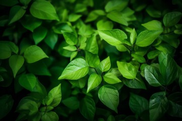 Fototapeta na wymiar Green leaves background. Generative AI
