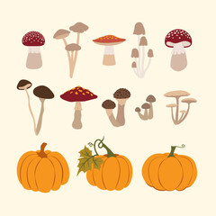 Autumn Mushrooms and pumpkins