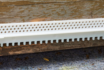 Fluglochschieber gegen die Räuberei im Bienenstock