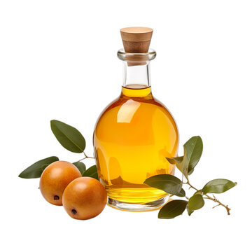 front view close up of Marula oil with ingredients isolated on a white transparent background