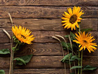 Sunflowers with ears of wheat on wooden background composition