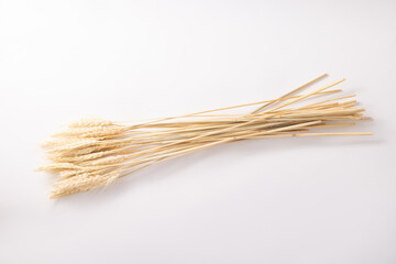 麦　ドライフラワー