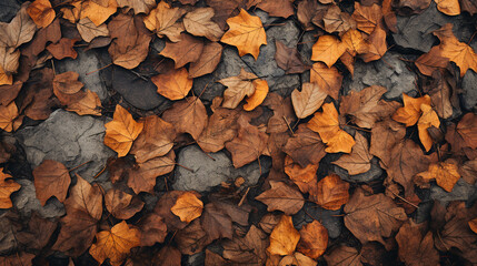 A top-view image of a park floor in autumn which reveals a carpet of dried leaves covering the ground. Between the leaves, empty spaces reveal the dry earth beneath