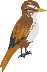 Xenops bird vector, Abstract baby xenops vector, forest bird, cute animal isolated, adorable bird for kids, vector illustration