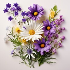 A set of flowers daisy and lavender against isolated white background